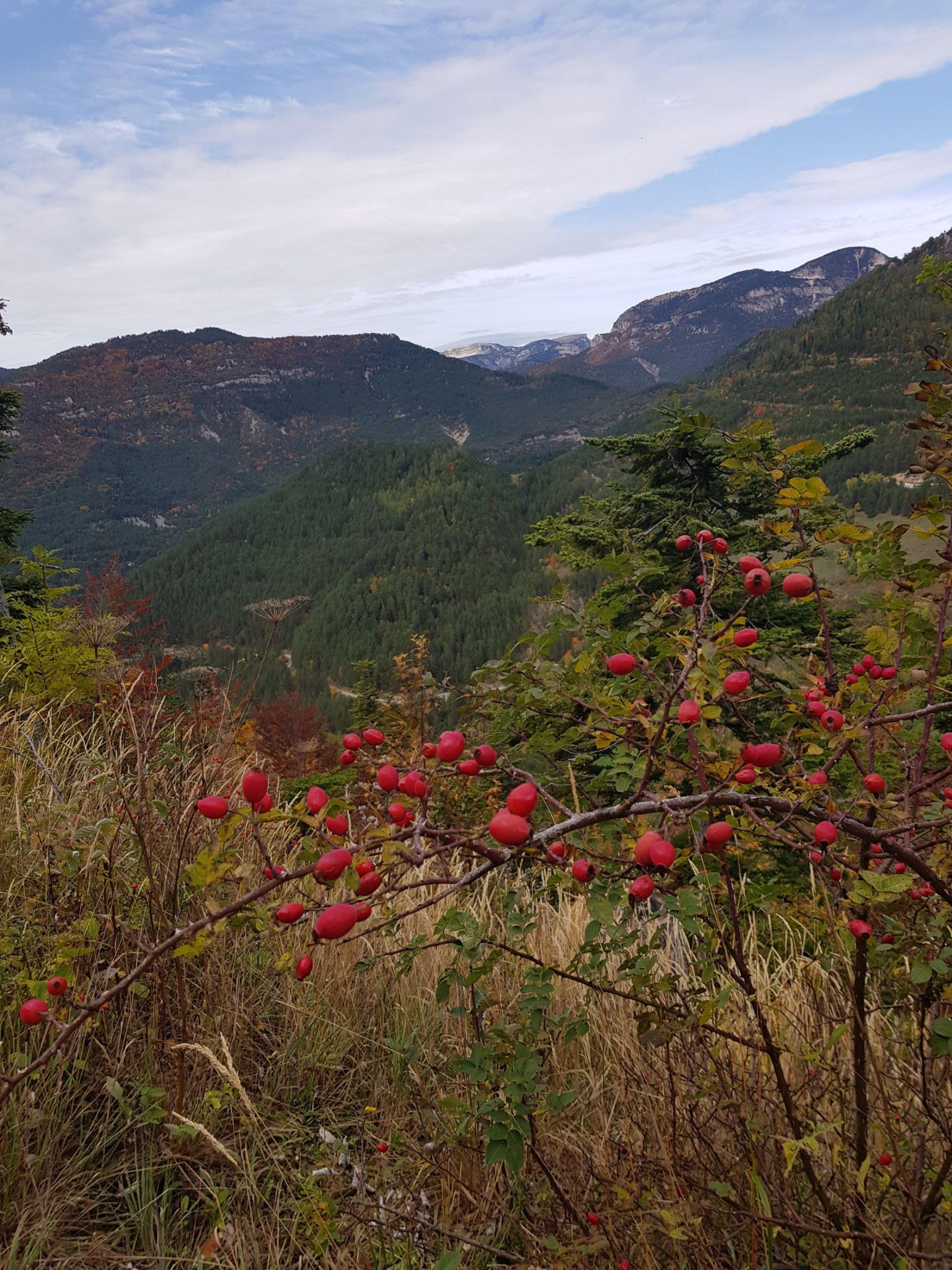 Les 3 cols au départ de Grimone