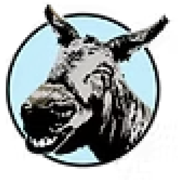 Randonner avec un âne