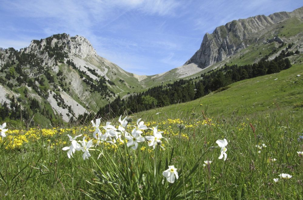 Le Jocou en randonnée - 2051 m