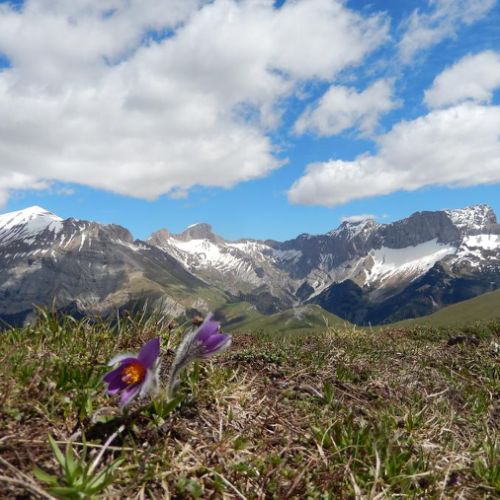 Séjour de Randonnée – Entre Vercors et Dévoluy