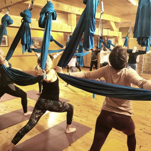 Salle de yoga - La sauvagine