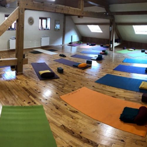 Salle de yoga - La sauvagine