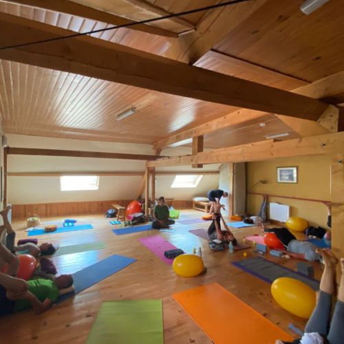 Salle de yoga - La sauvagine