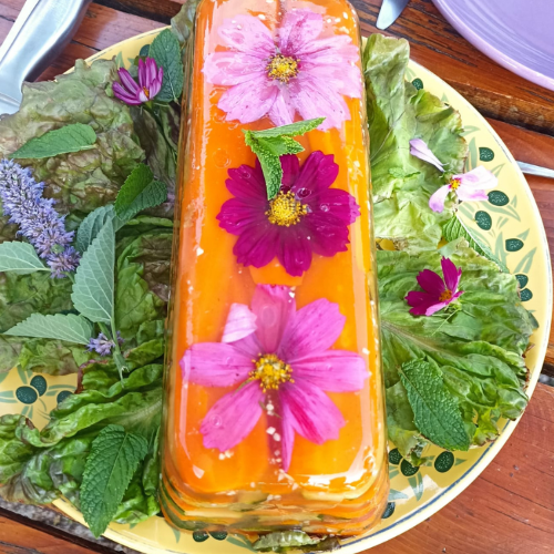 terrine-légumes-agar-agar