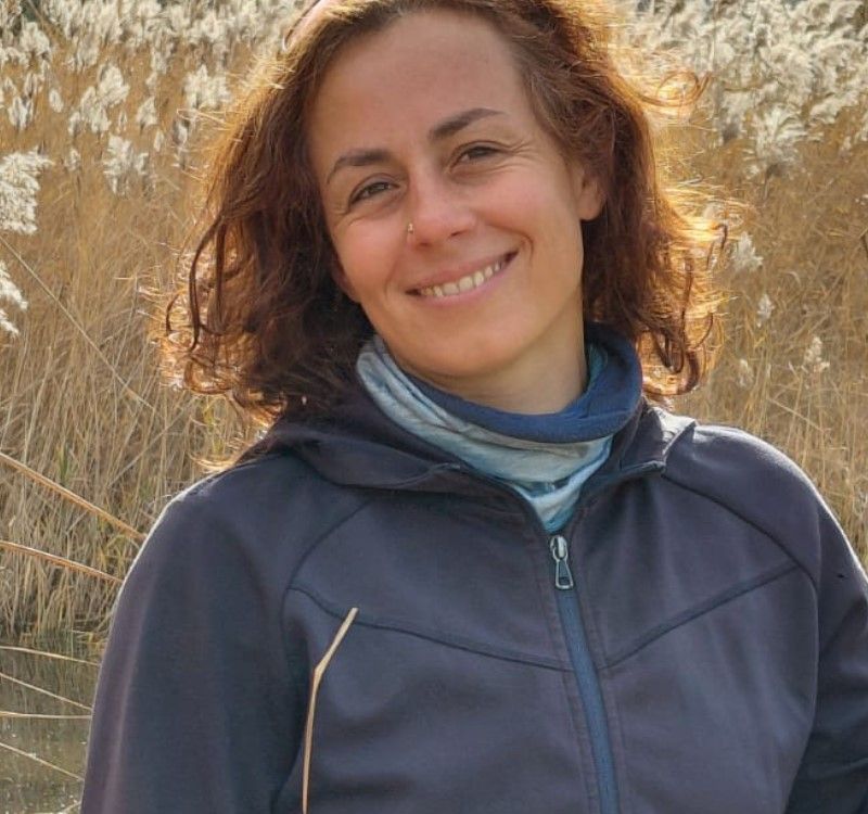 STAGE SÉCHOIR SCOLAIRE